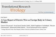 A Case Report of Electric Wire as Foreign Body in Urinary Bladder
